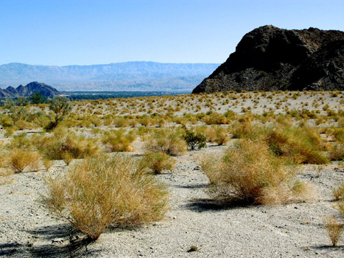 Melanie Heinrich - Travel